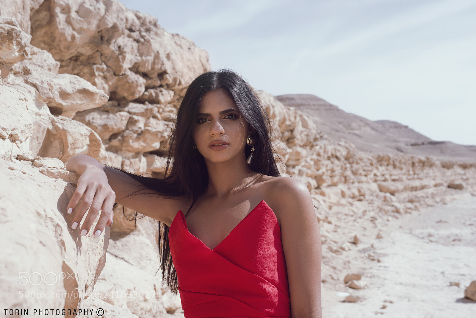 Nikon D810 sample photo. Desert rose 11 photography