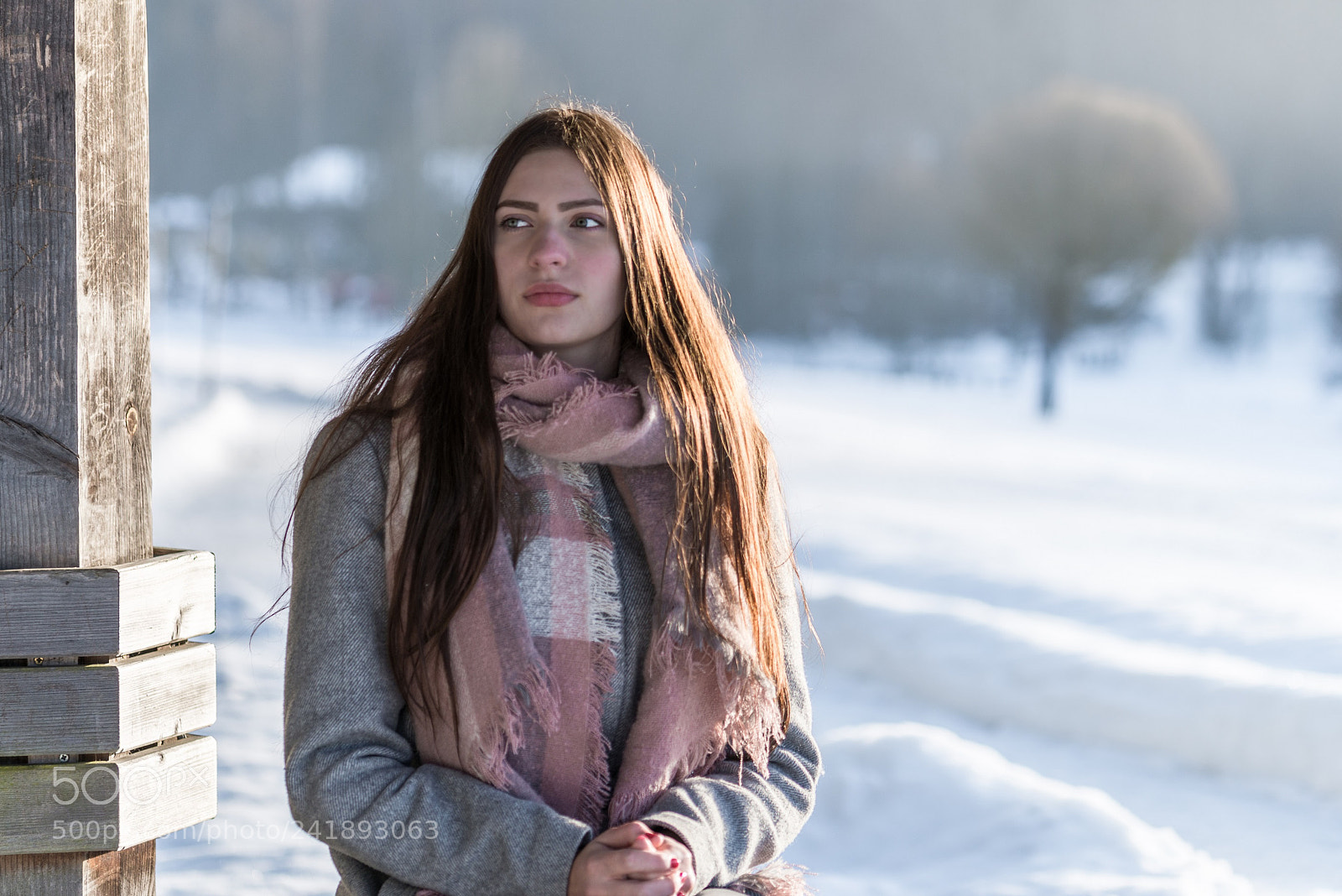 Nikon D800 sample photo. Modelwalk in a winter photography