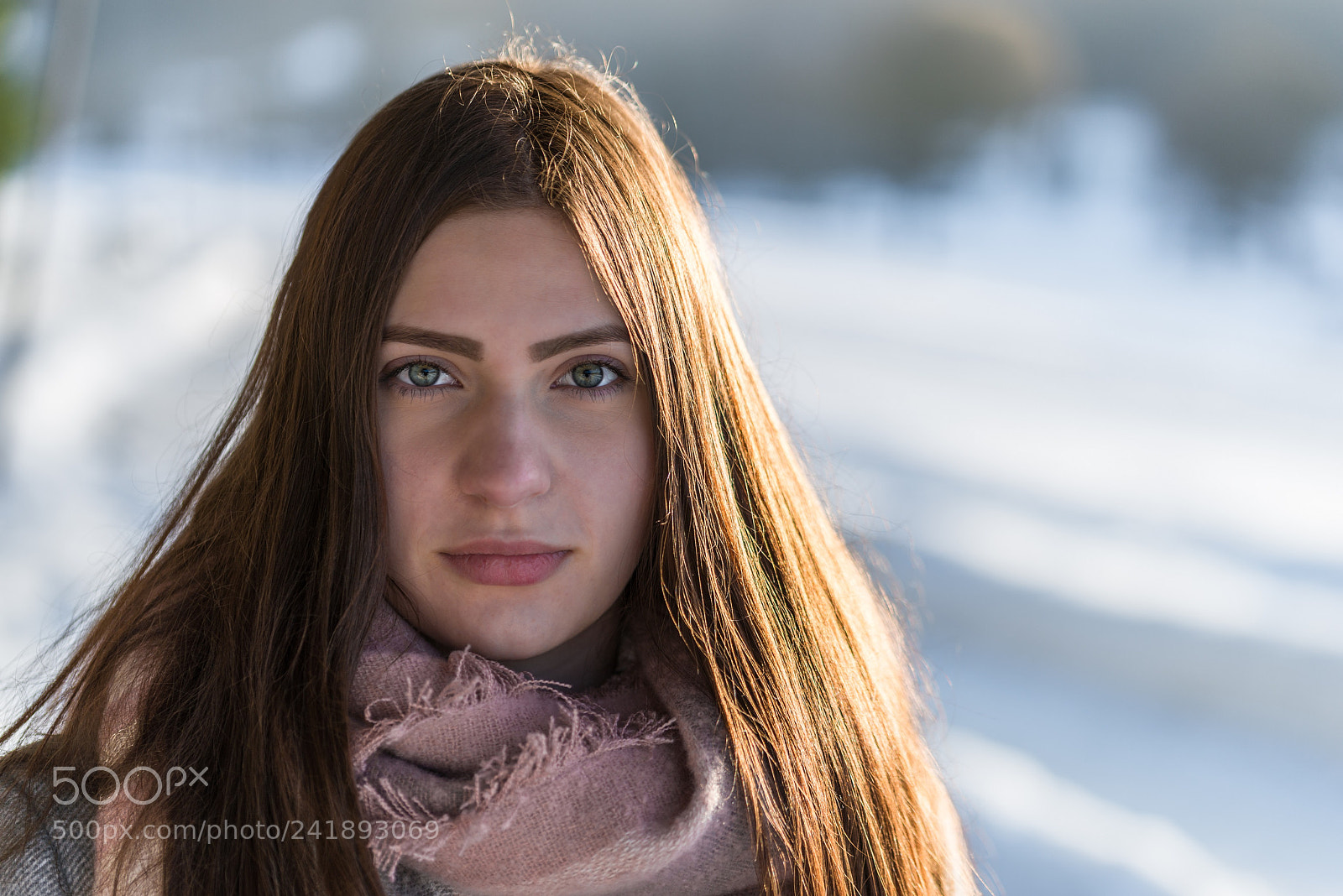 Nikon D800 sample photo. Modelwalk in a winter photography