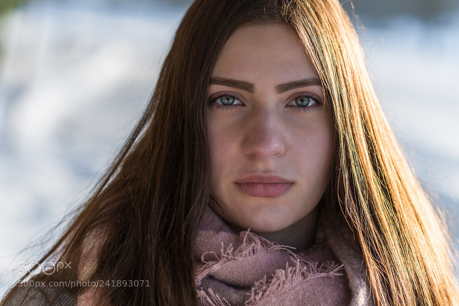 Nikon D800 sample photo. Modelwalk in a winter photography
