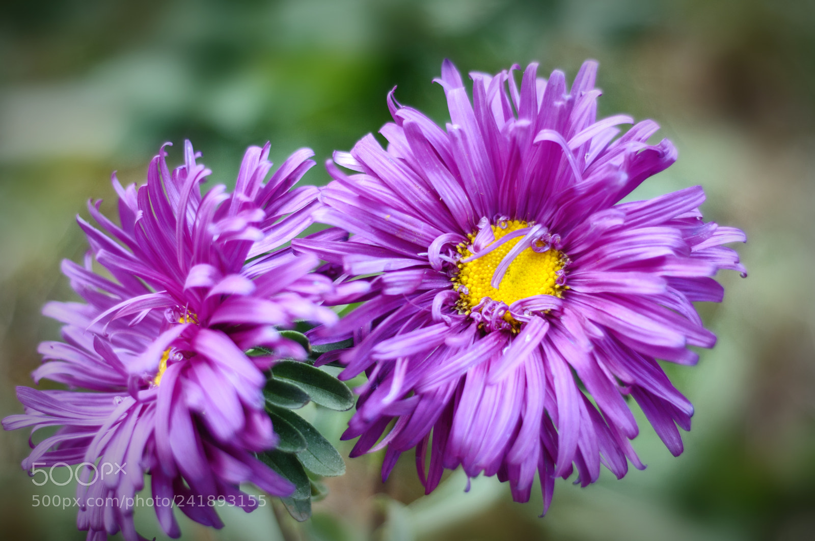 Nikon D90 sample photo. ... photography