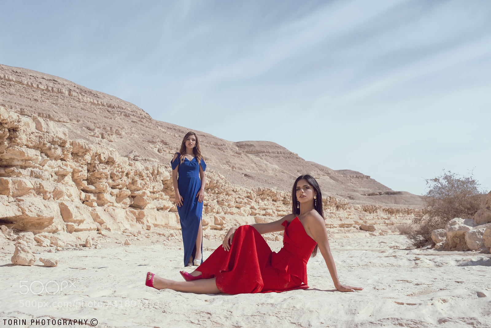 Nikon D810 sample photo. Desert rose 13 photography