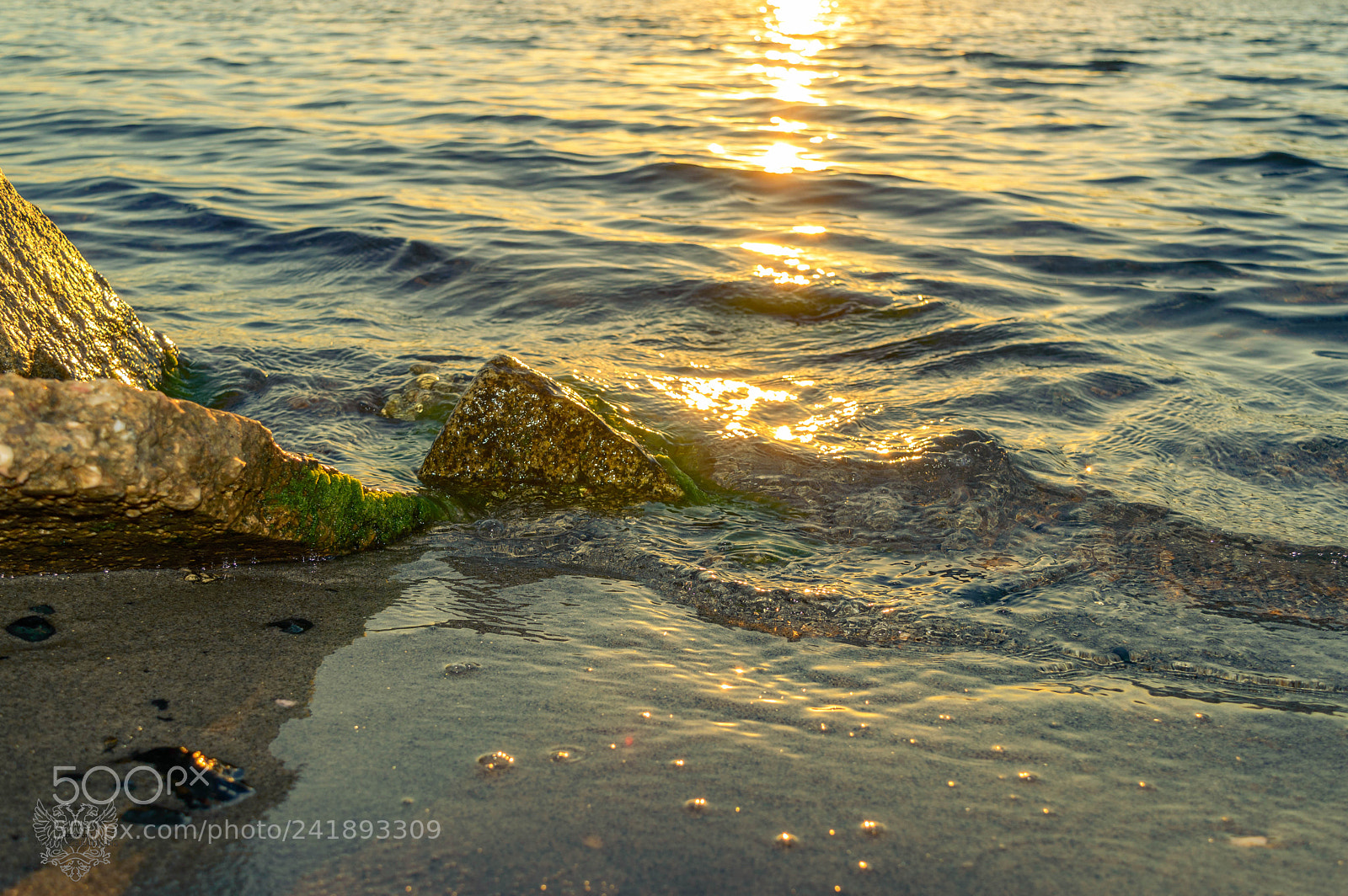 Nikon D3200 sample photo. Golden waves photography