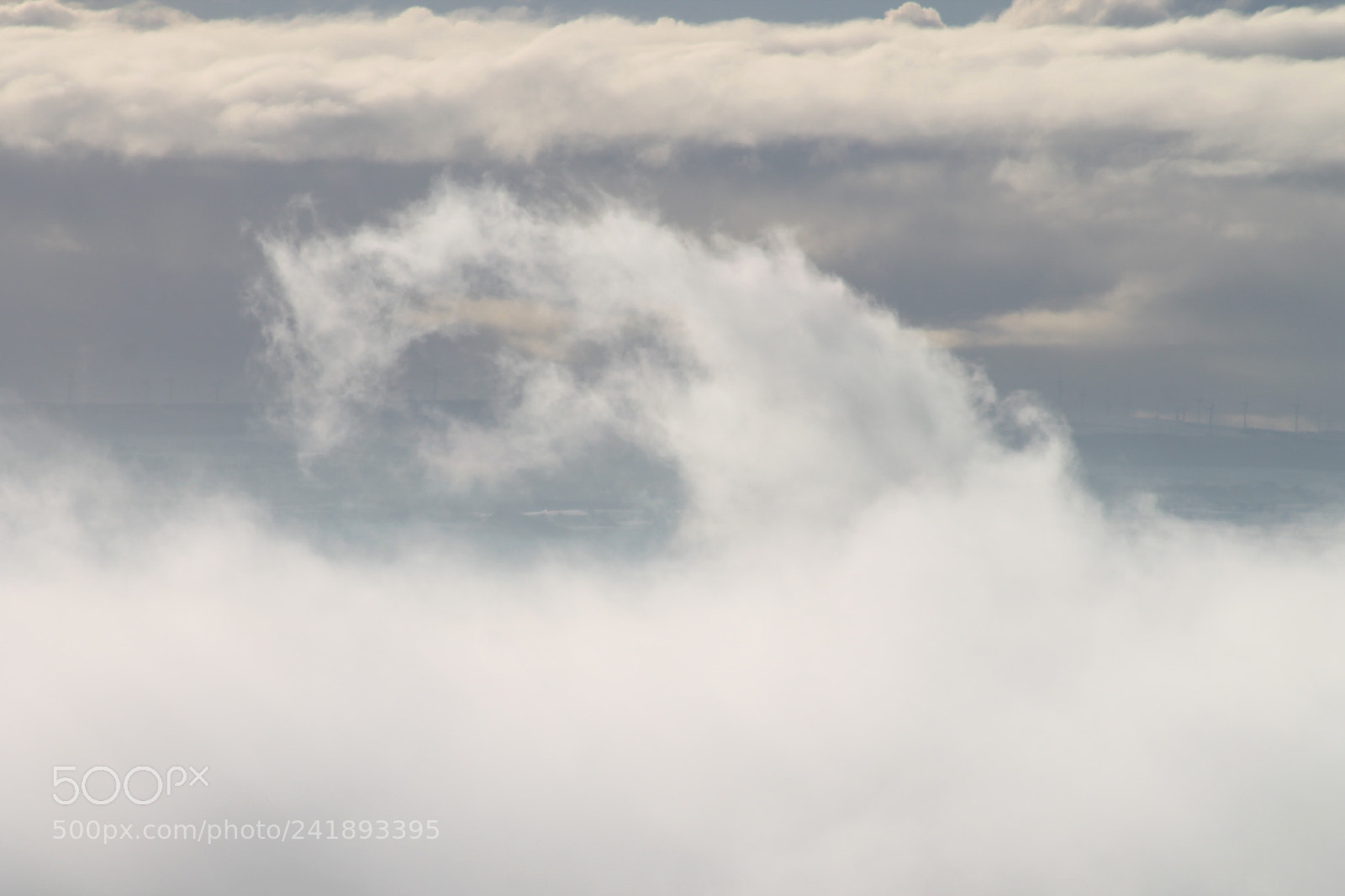 Canon EOS 1100D (EOS Rebel T3 / EOS Kiss X50) sample photo. Snake in the mist photography