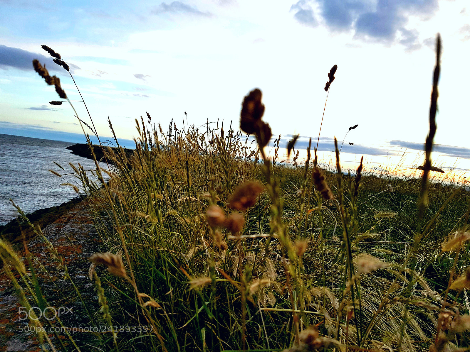Samsung Galaxy S7 sample photo. The seawall photography