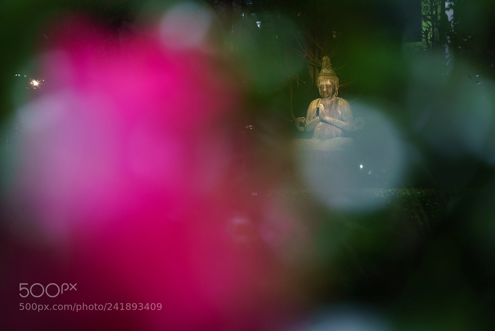 Sony a7S sample photo. In asakusa photography