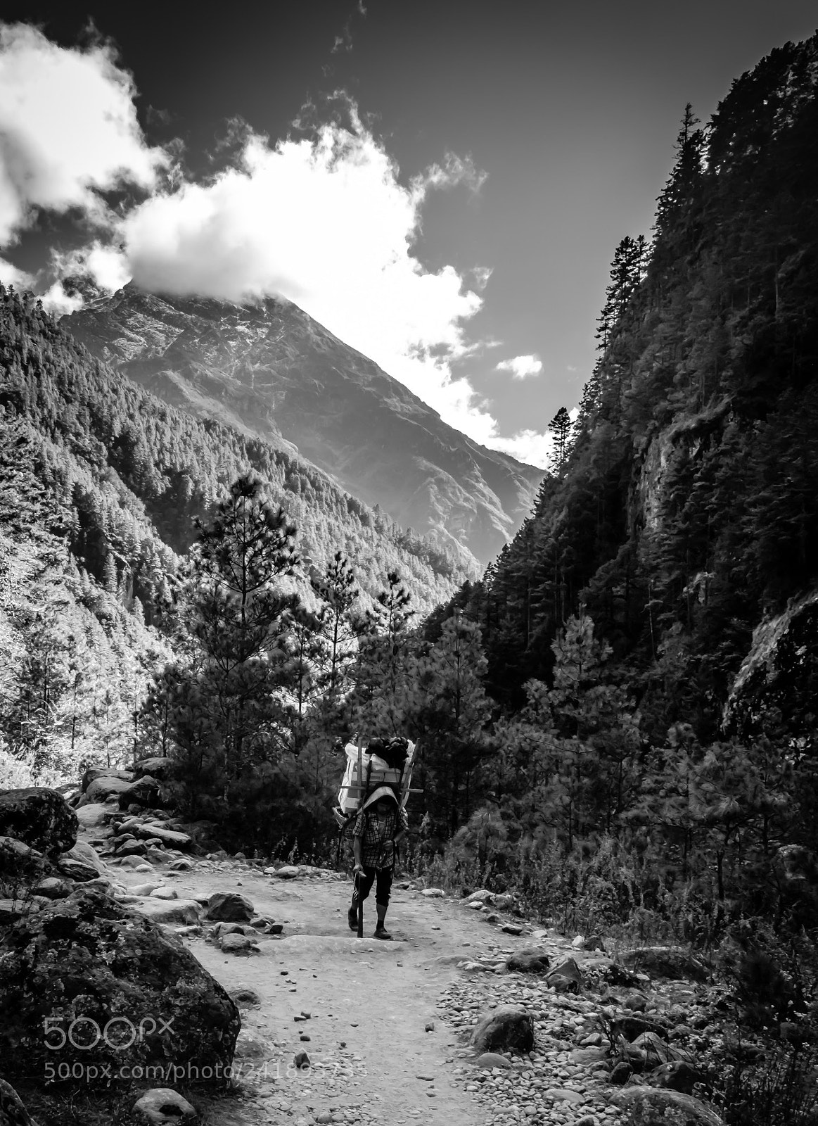 Fujifilm X-T20 sample photo. Porters of himalayas photography