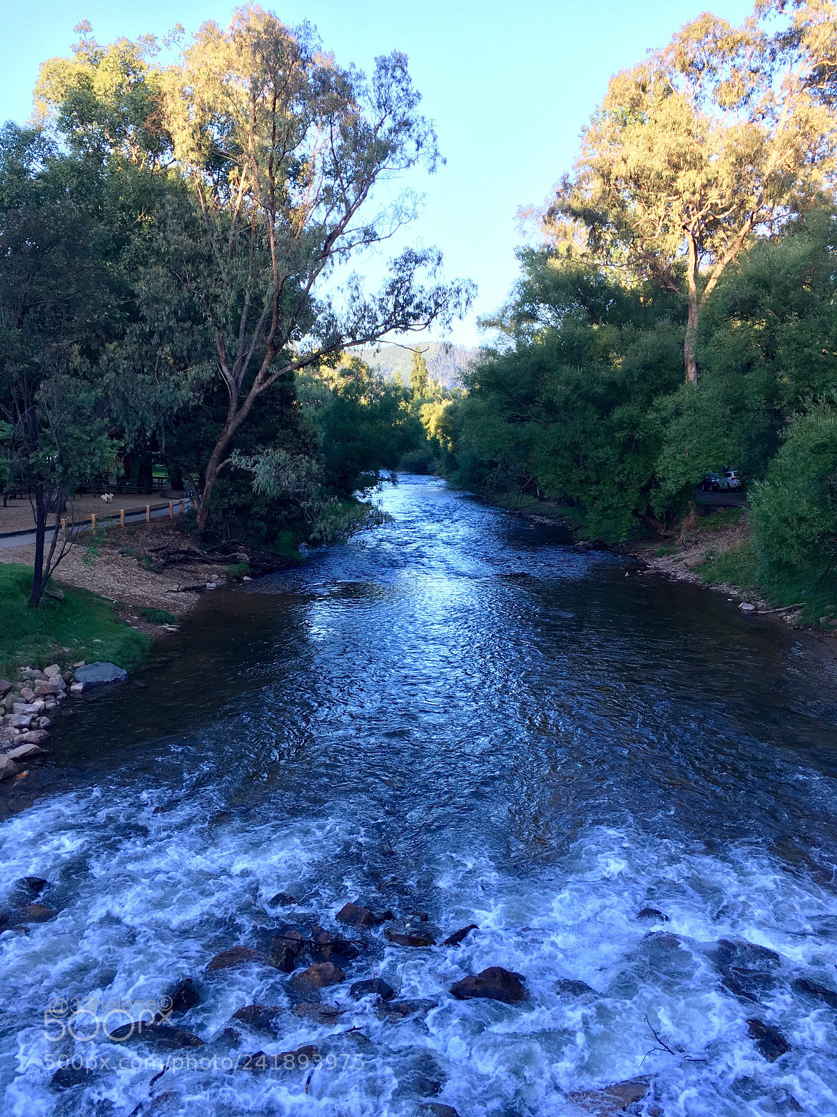 Apple iPhone SE sample photo. River bright photography