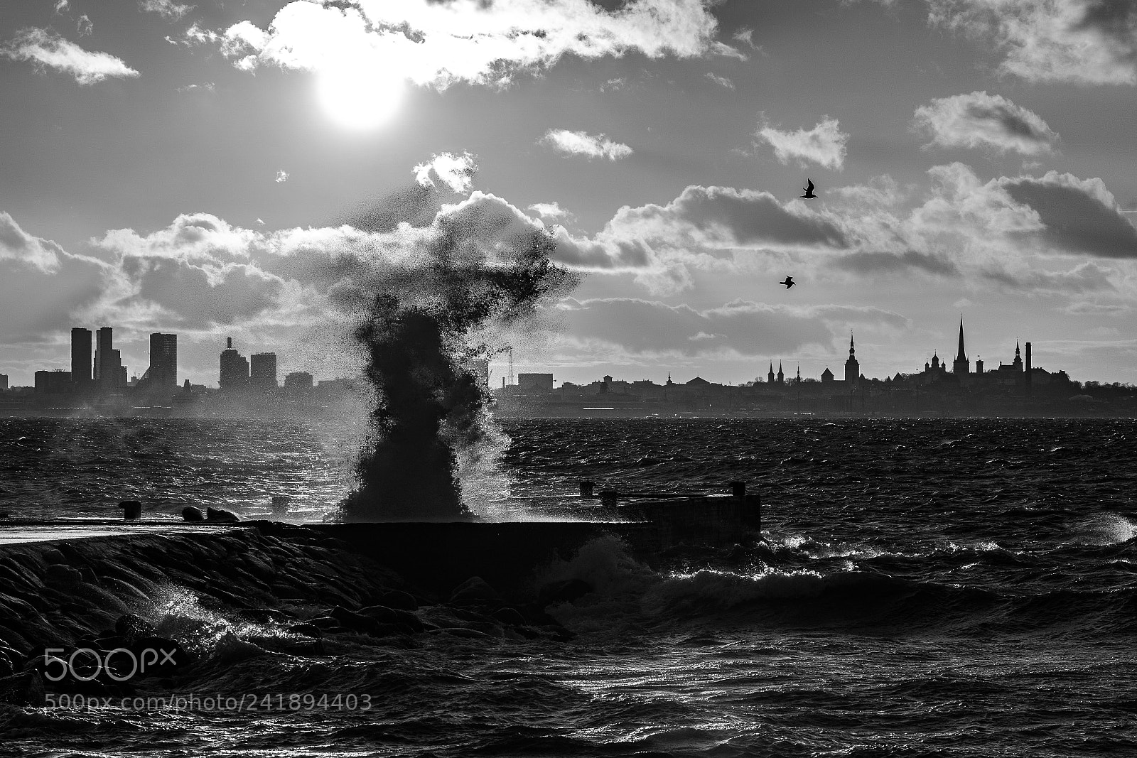 Sony a9 sample photo. The gulf of tallinn photography