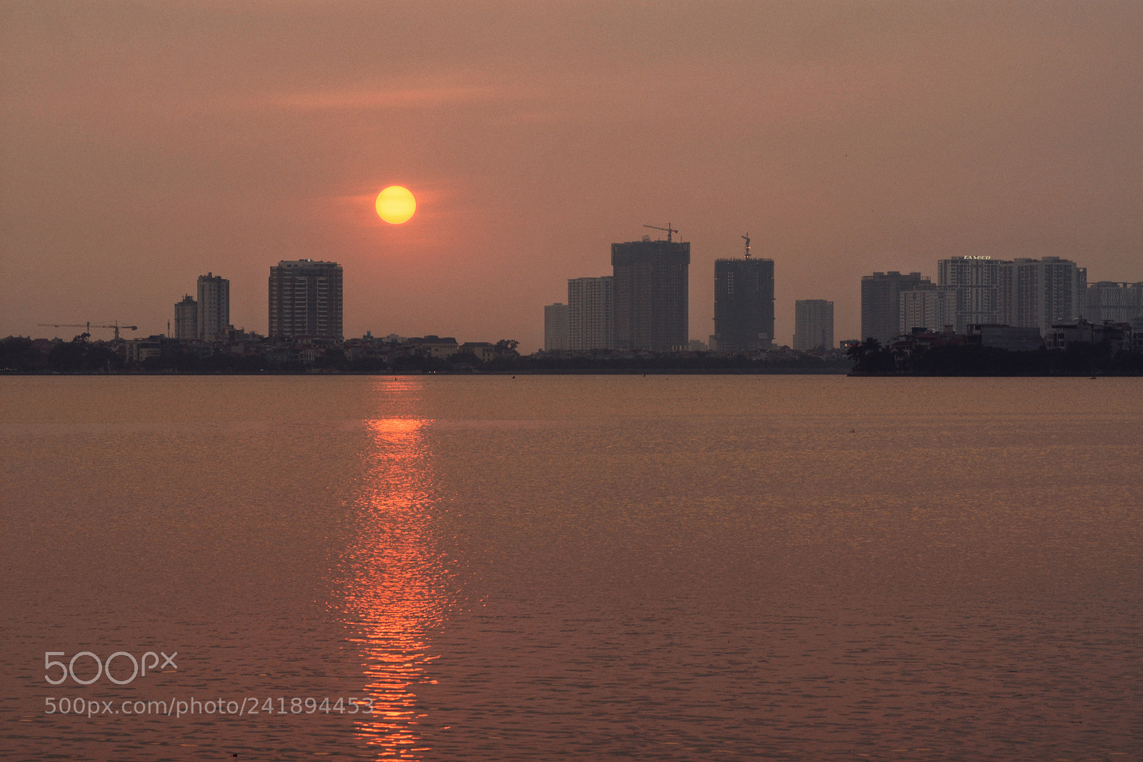 Nikon D7100 sample photo. Untitled photography