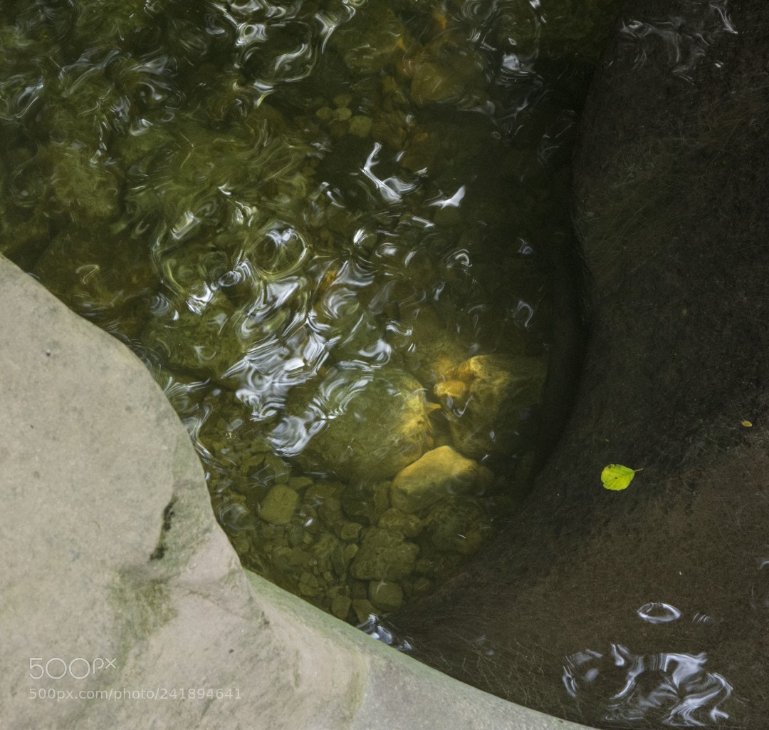 Nikon D7200 sample photo. Calavera photography