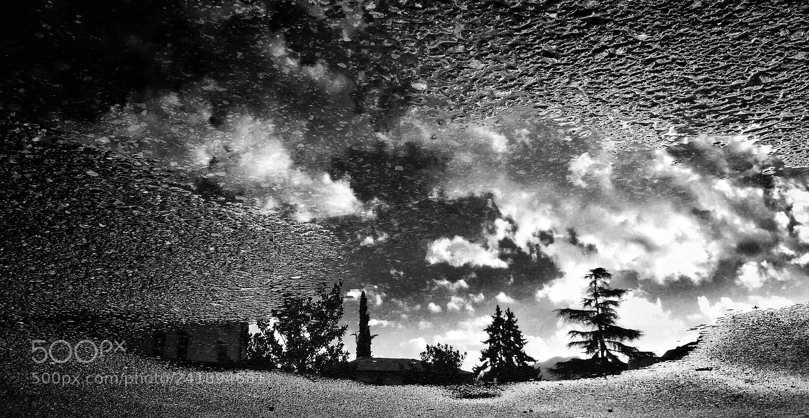 Apple iPhone 6 sample photo. Untitled photography