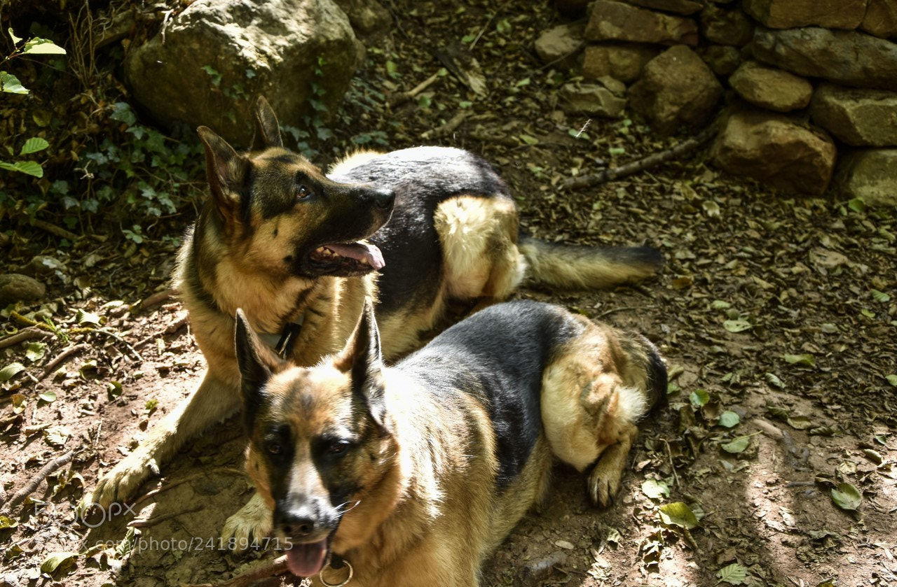 Nikon D7200 sample photo. Una pausa photography
