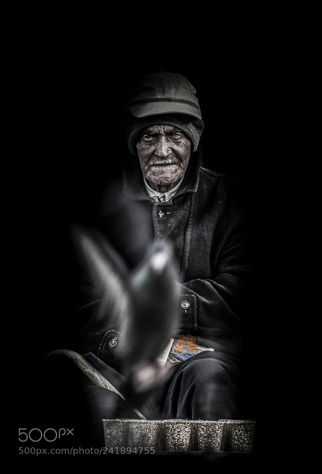 Canon EOS 550D (EOS Rebel T2i / EOS Kiss X4) sample photo. Birdman photography