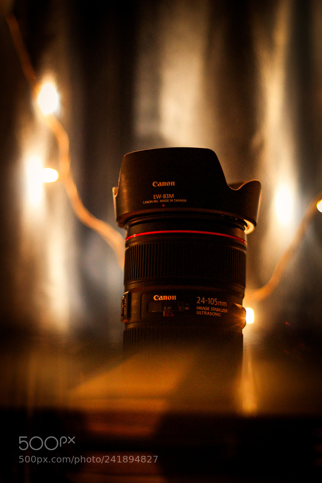 Canon EOS 60D sample photo. The beast photography