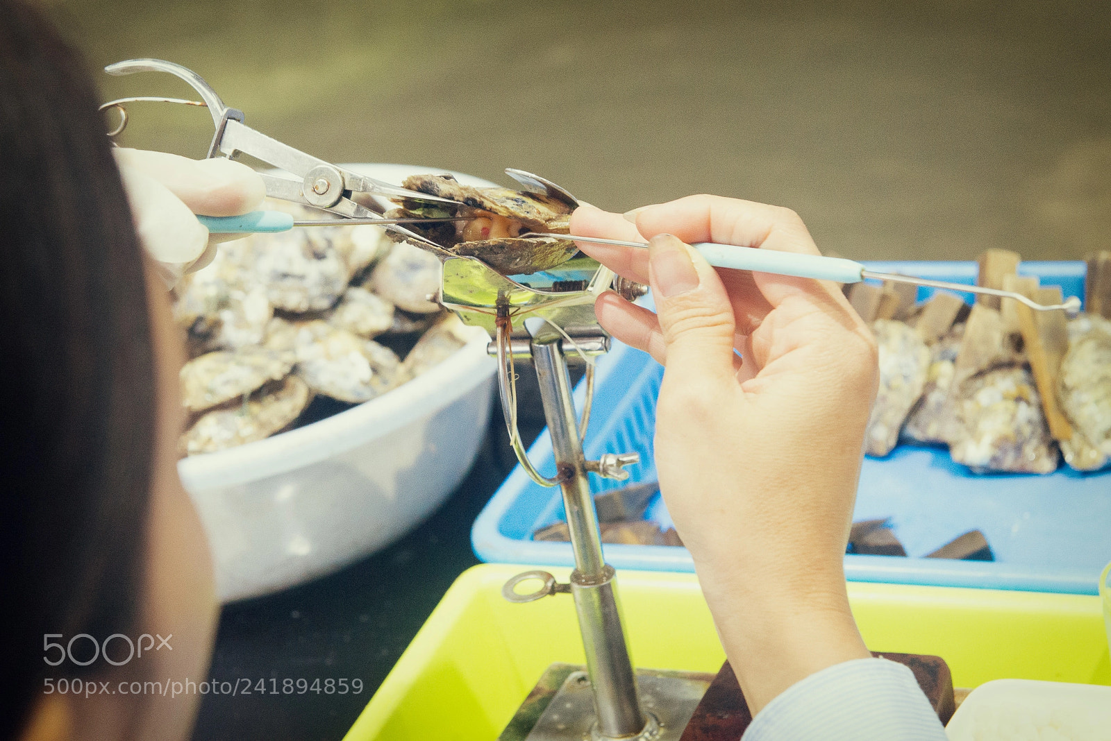 Nikon D600 sample photo. Pearl insemination photography