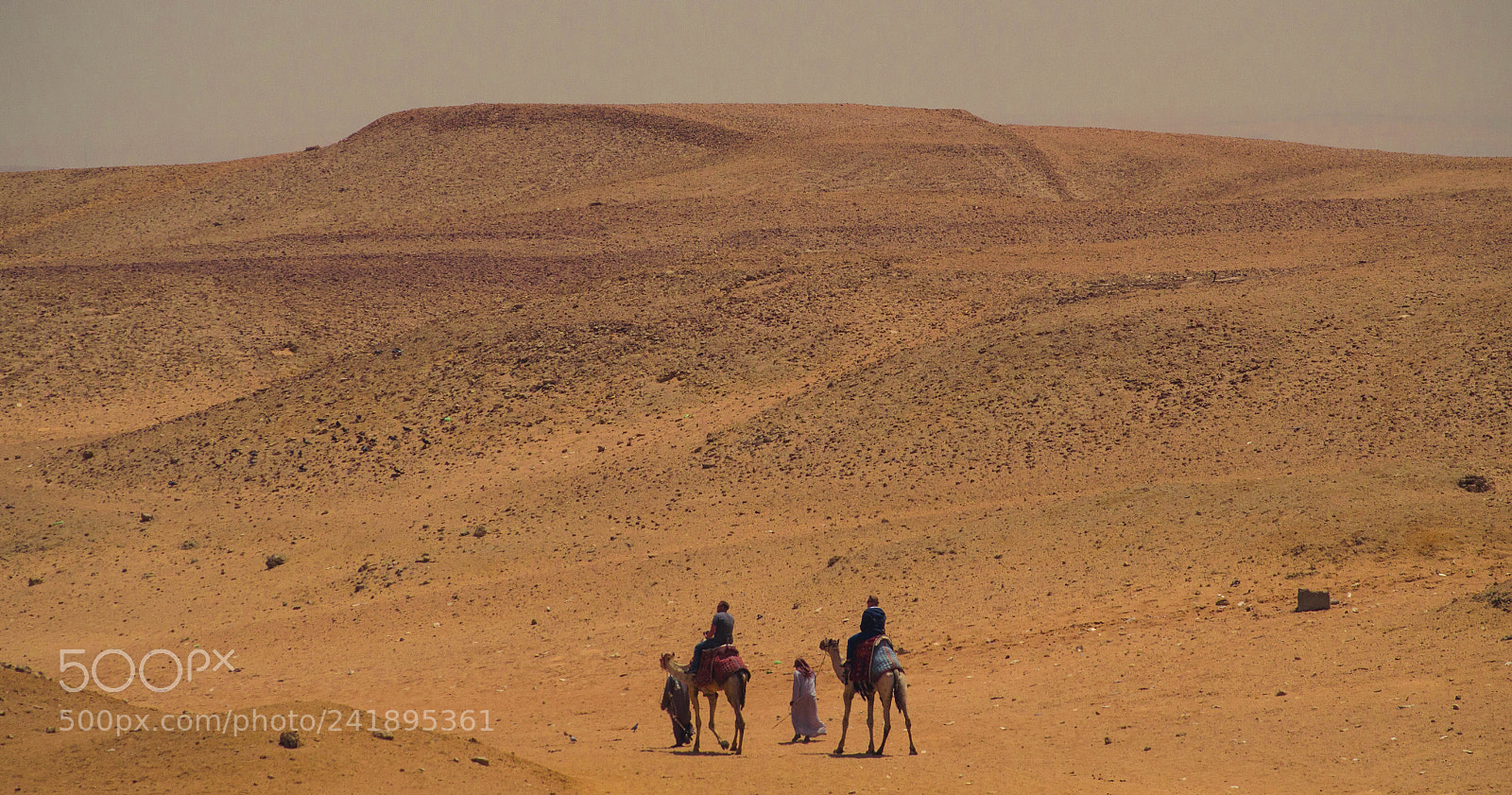 Nikon D3200 sample photo. Into the great sahara photography