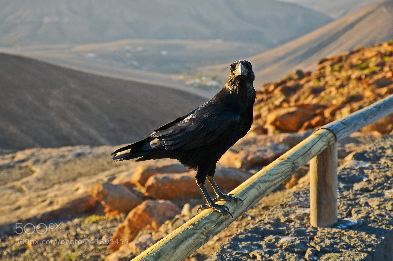 Nikon D300 sample photo. So what? photography