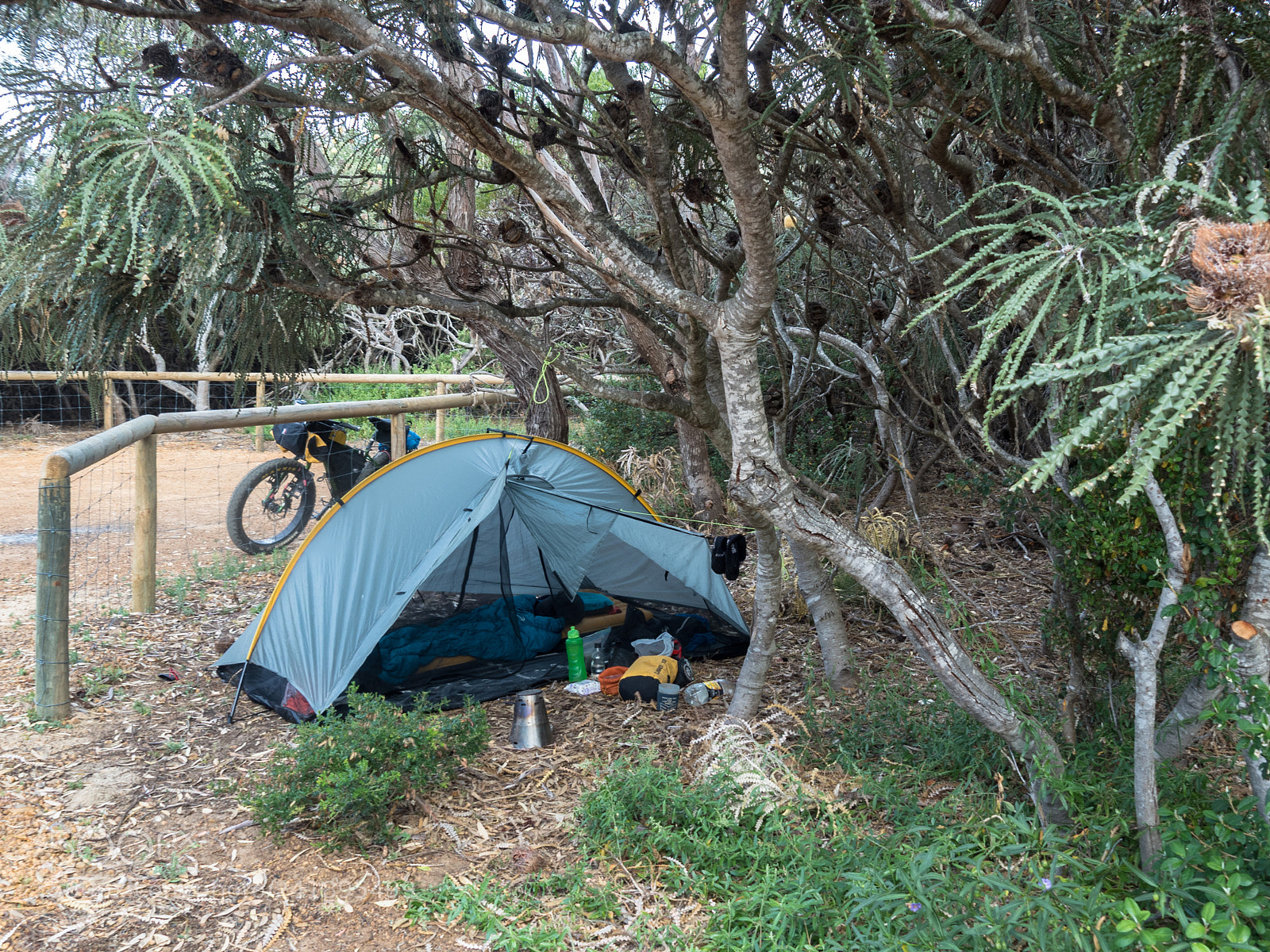 Olympus OM-D E-M5 II sample photo. Camping at quagi beach photography
