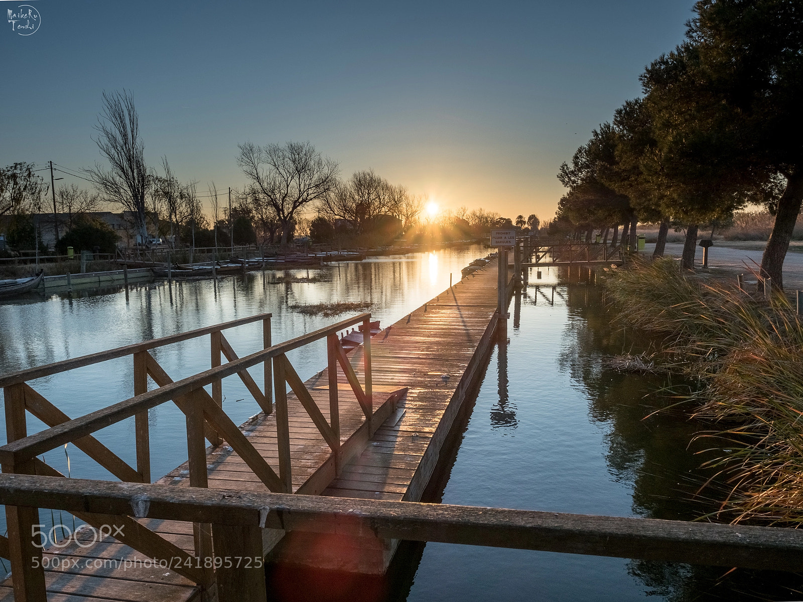 Olympus OM-D E-M5 II sample photo. Catarroja port photography
