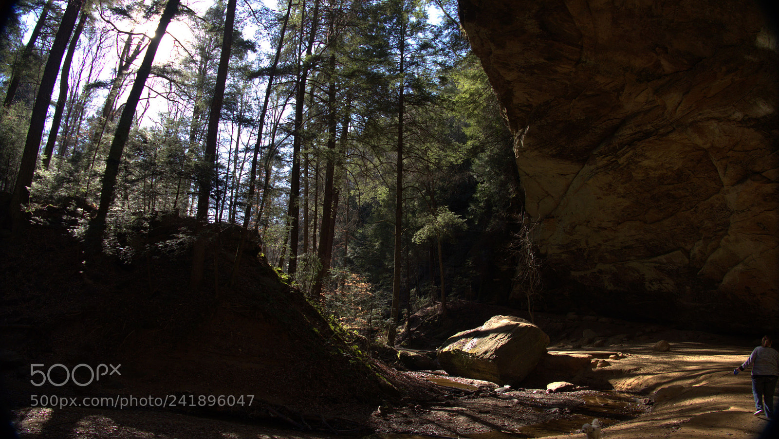 Leica V-Lux (Typ 114) sample photo. Ddo photography
