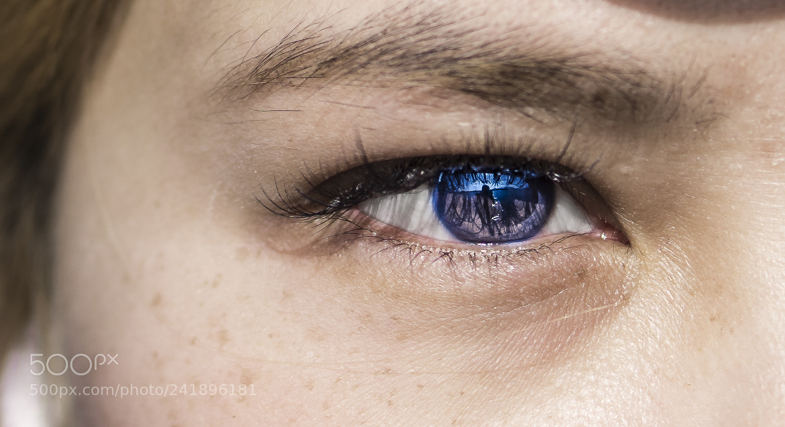 Sony a7 II sample photo. Eye photography