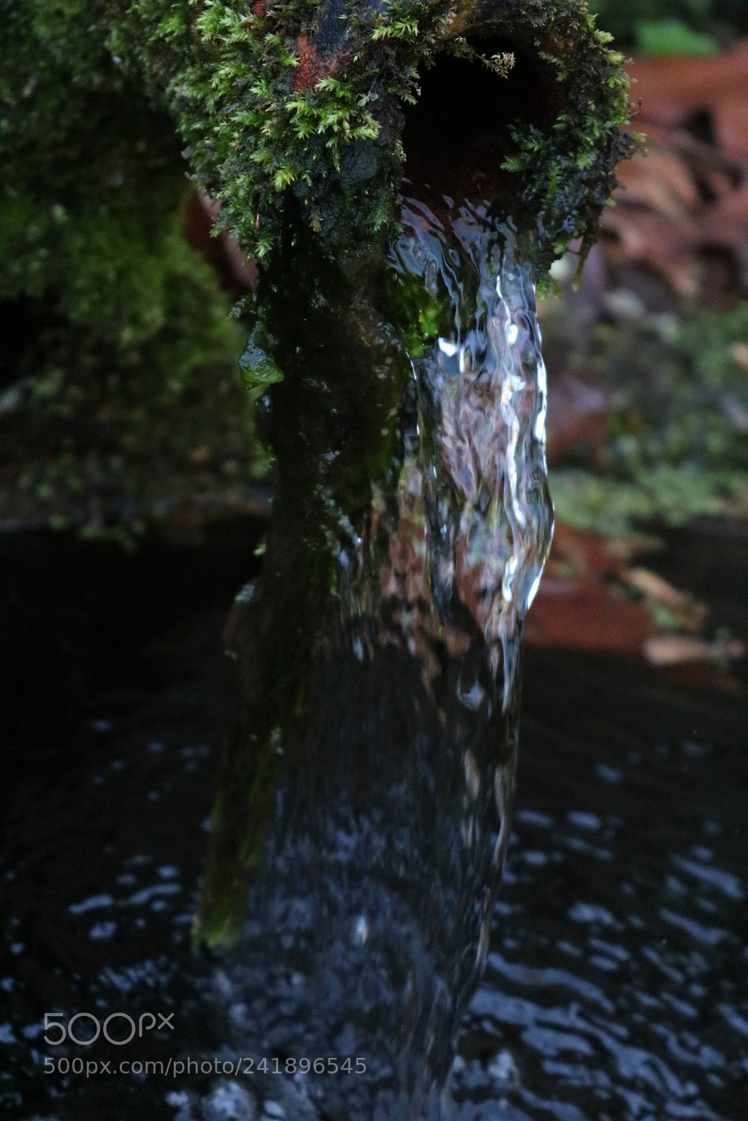 Canon EOS 750D (EOS Rebel T6i / EOS Kiss X8i) sample photo. Untitled photography