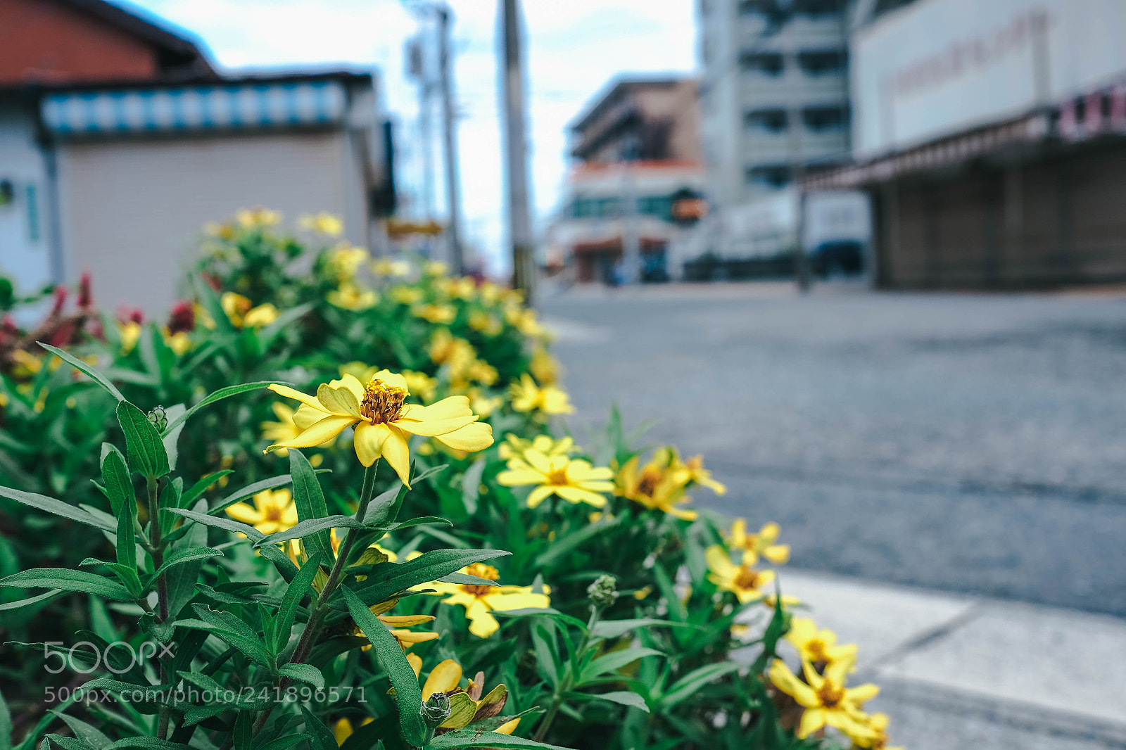 Fujifilm X-T10 sample photo. Son photography