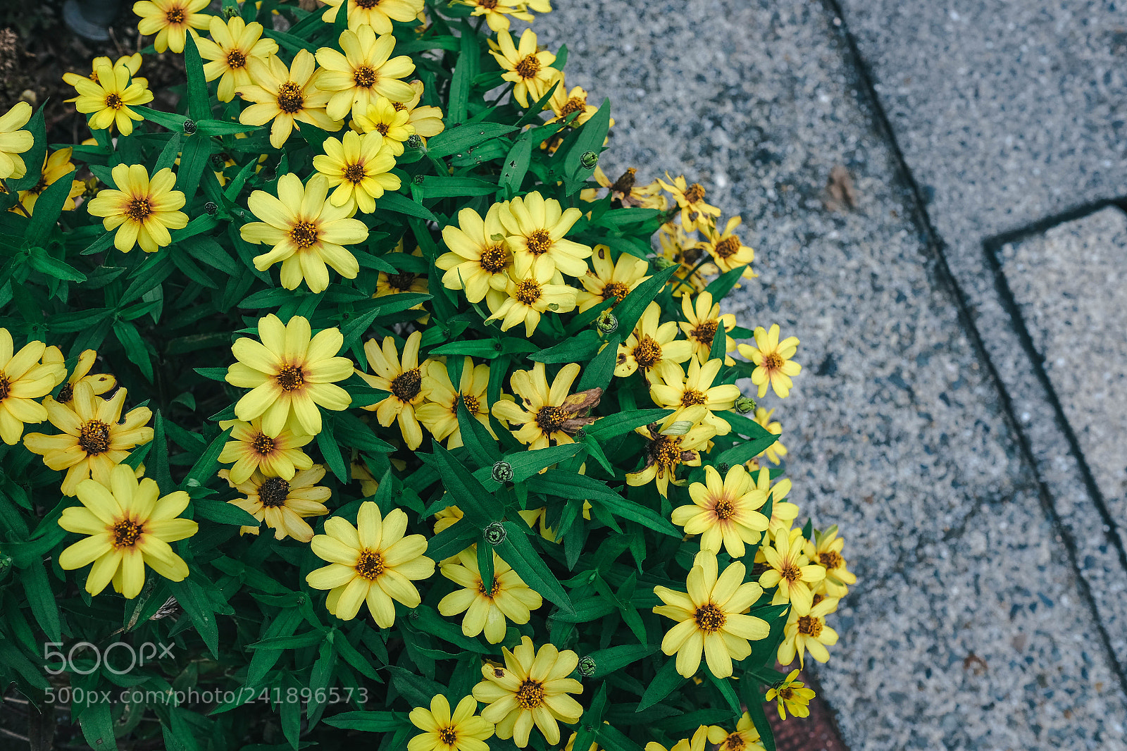 Fujifilm X-T10 sample photo. Son photography