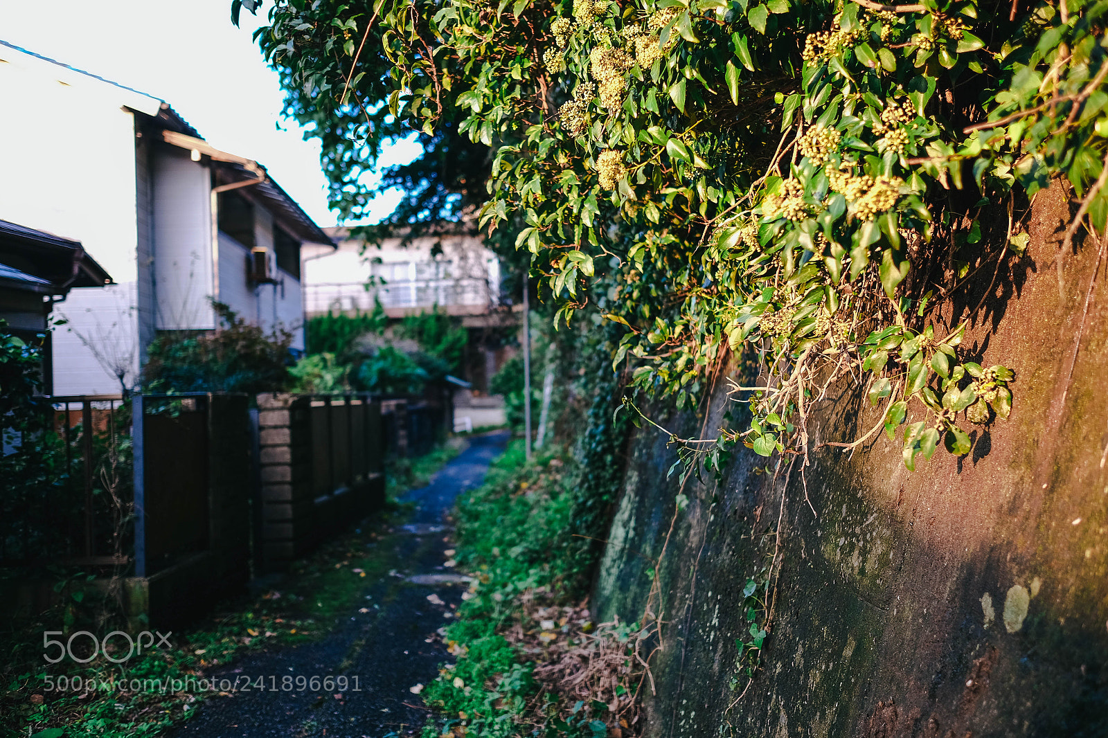 Fujifilm X-T10 sample photo. Son photography