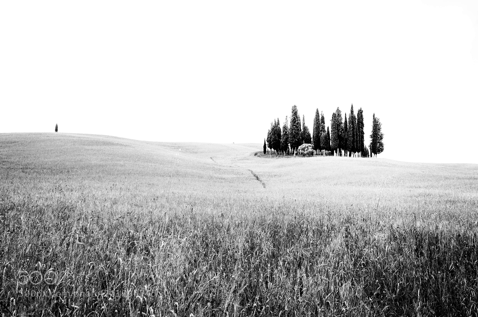 Nikon D300S sample photo. Untitled photography