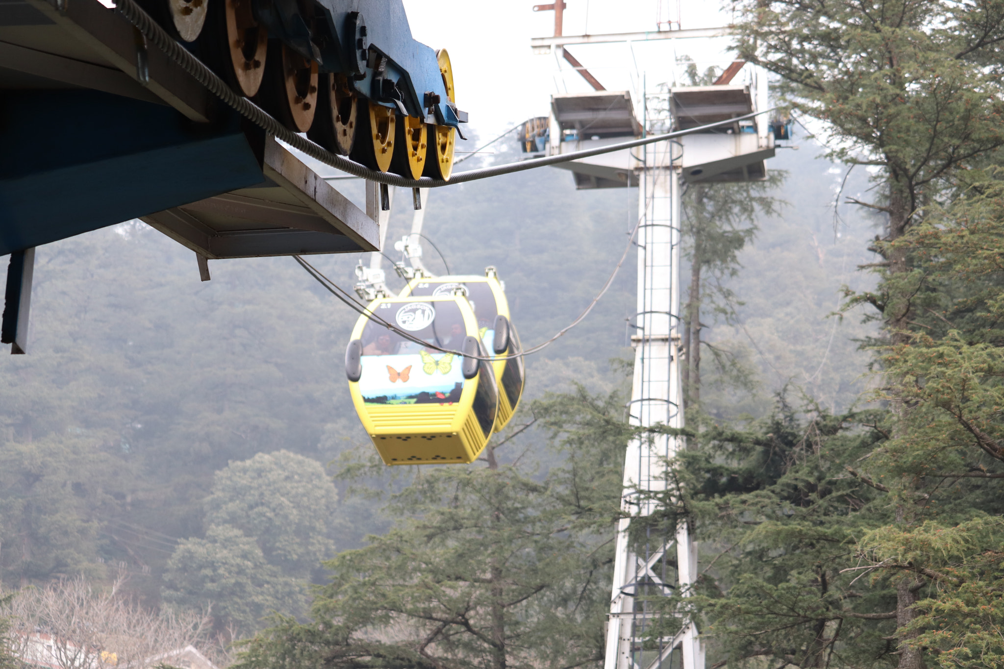 Canon EF-S 55-250mm F4-5.6 IS STM sample photo. 27.jpg photography