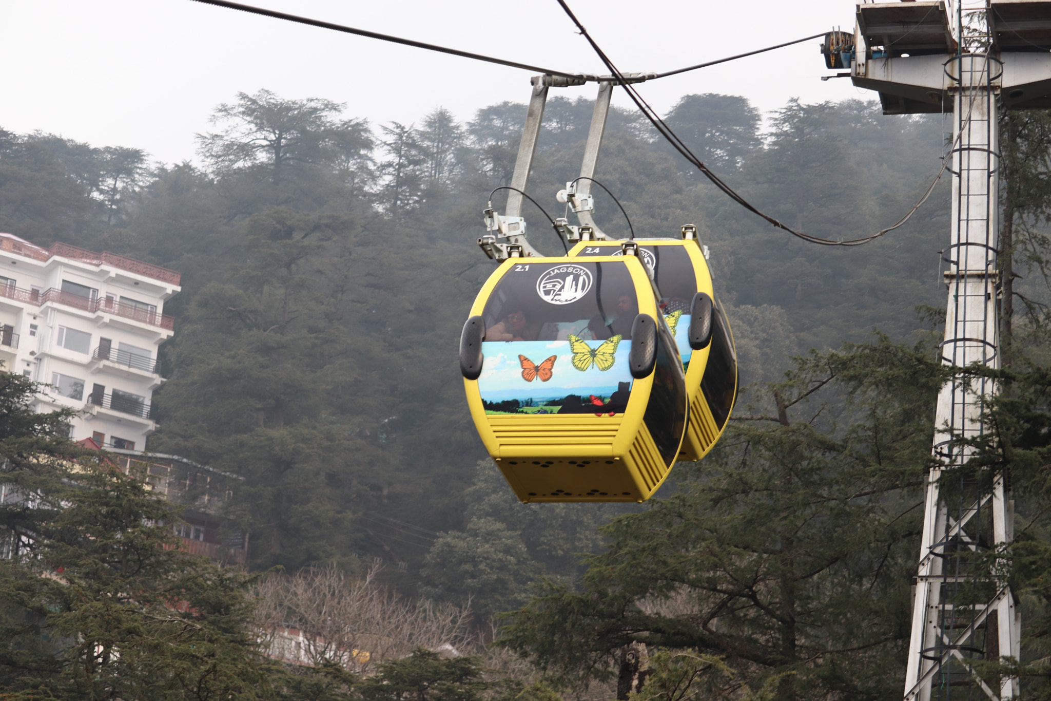 Canon EF-S 55-250mm F4-5.6 IS STM sample photo. 29.jpg photography