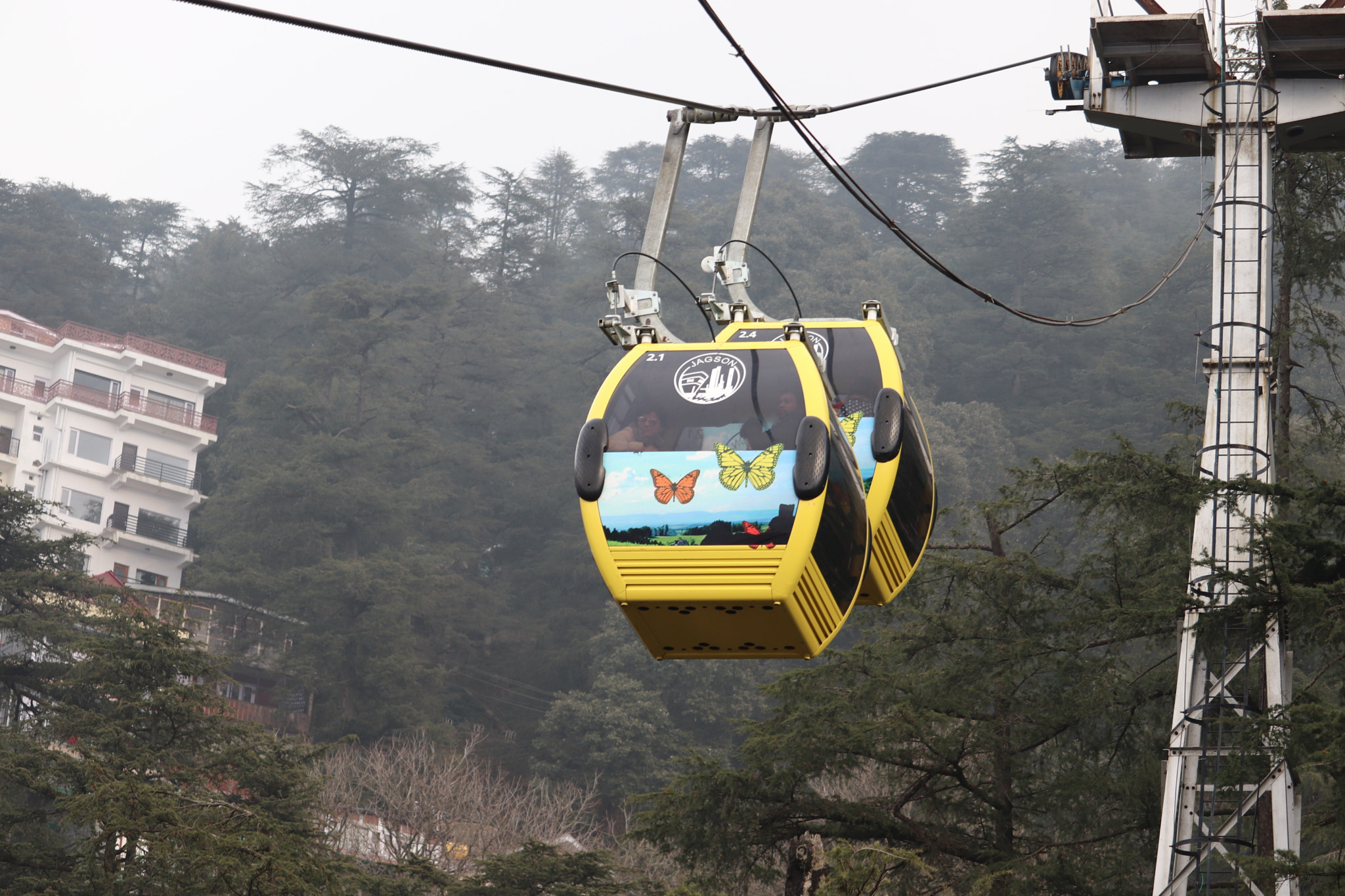 Canon EF-S 55-250mm F4-5.6 IS STM sample photo. 30.jpg photography