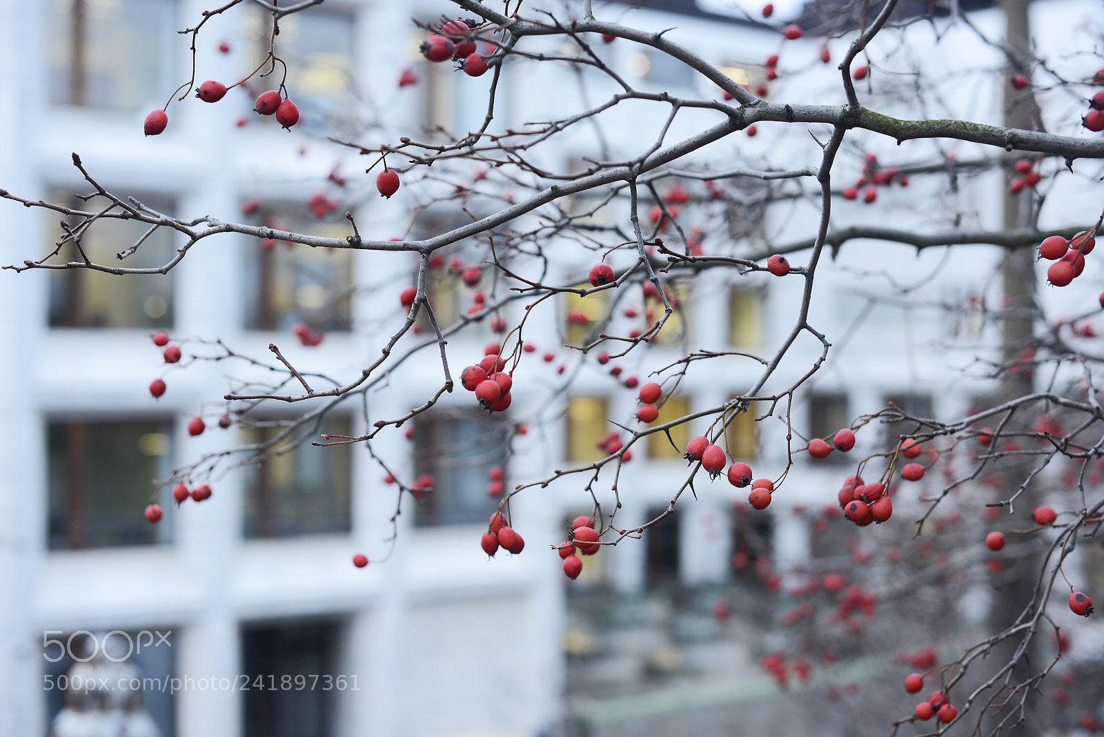 Nikon D800 sample photo. Finland ?? photography