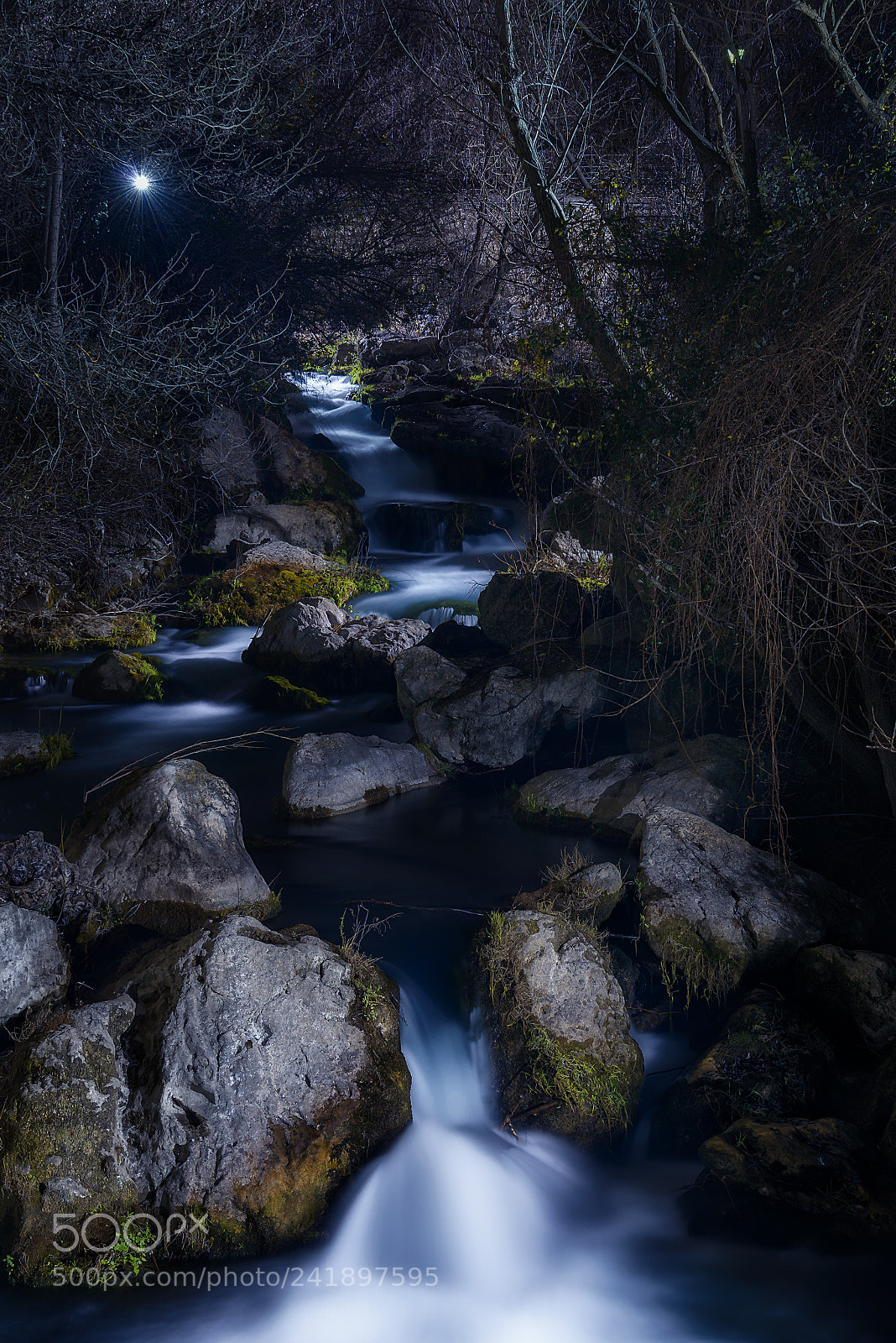Nikon D800 sample photo. Castril river at night photography