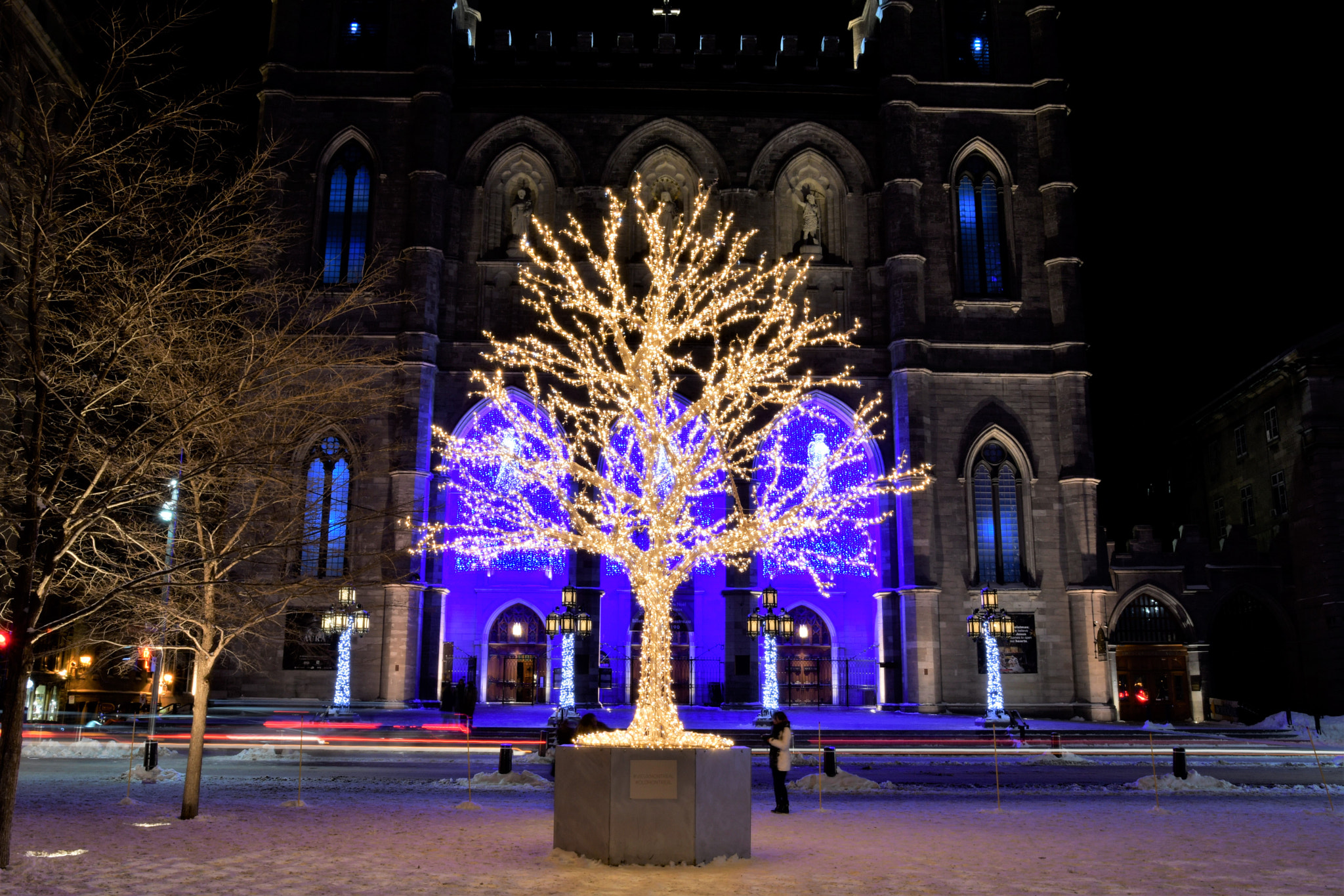 Sigma 18-35mm F1.8 DC HSM Art sample photo. Xmas tree photography