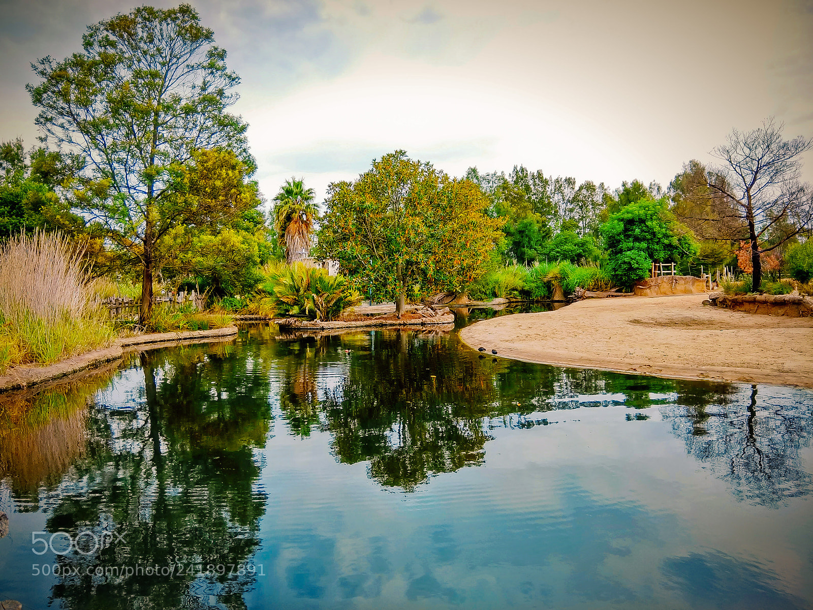 Xiaomi Redmi Note 4 sample photo. Werribee zoo photography