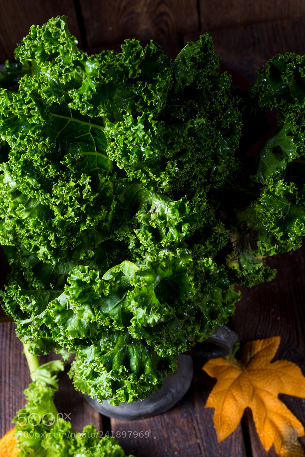 Nikon D810 sample photo. Kale brassica oleracea photography