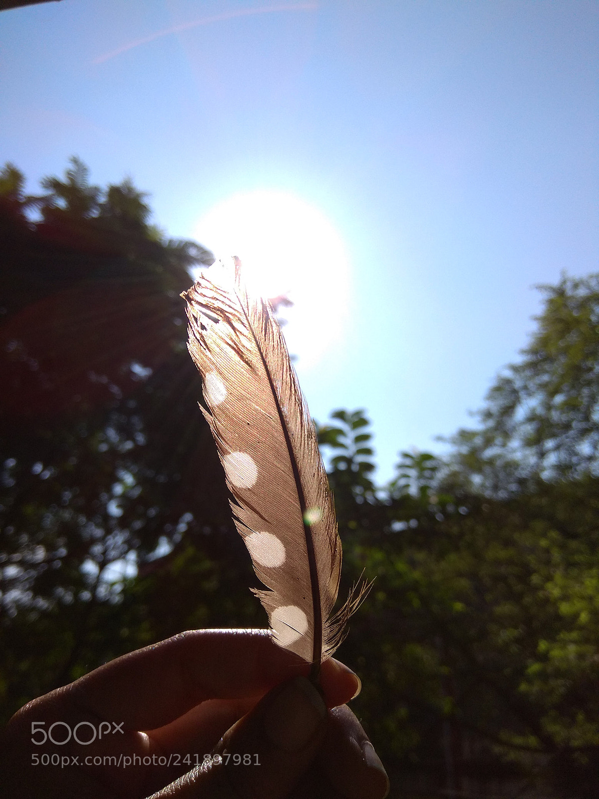 Xiaomi Redmi Note 4 sample photo. Img_20171104_084908.jpg photography