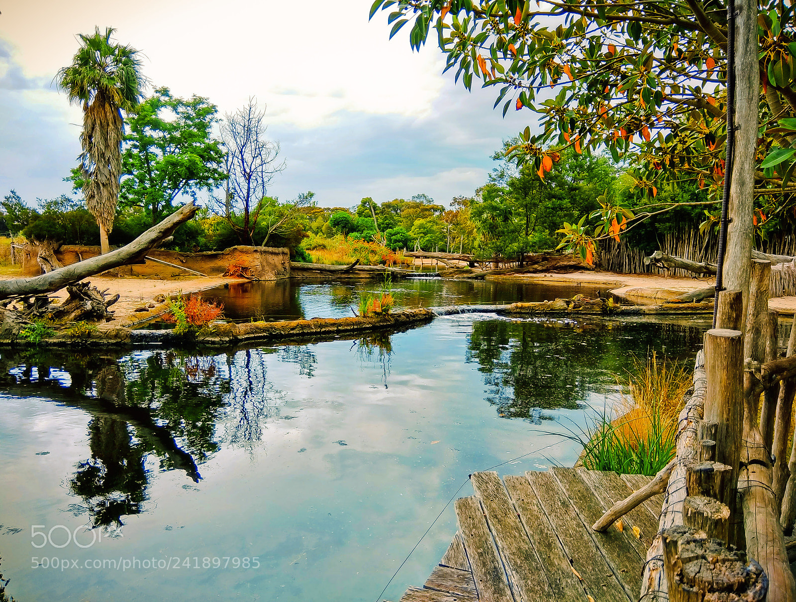 Xiaomi Redmi Note 4 sample photo. Werribee zoo photography