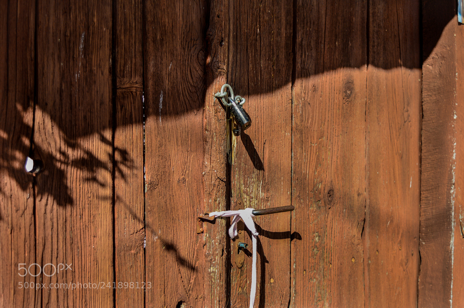 Nikon D3200 sample photo. The sun on the photography