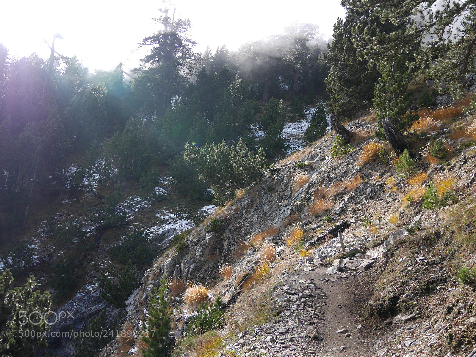 Panasonic Lumix DMC-GM1 sample photo. Foggy mountain photography