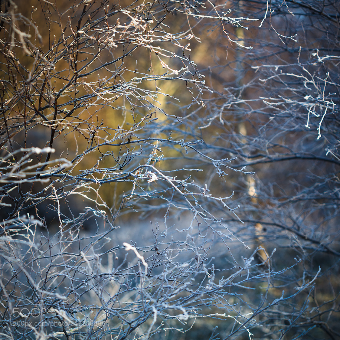 Canon EOS 5DS sample photo. Tension photography