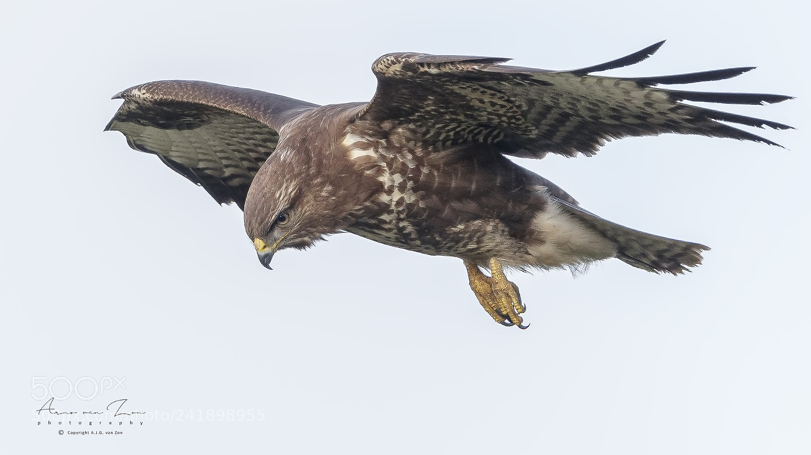 Canon EOS-1D X Mark II sample photo. Wind surfing.... photography