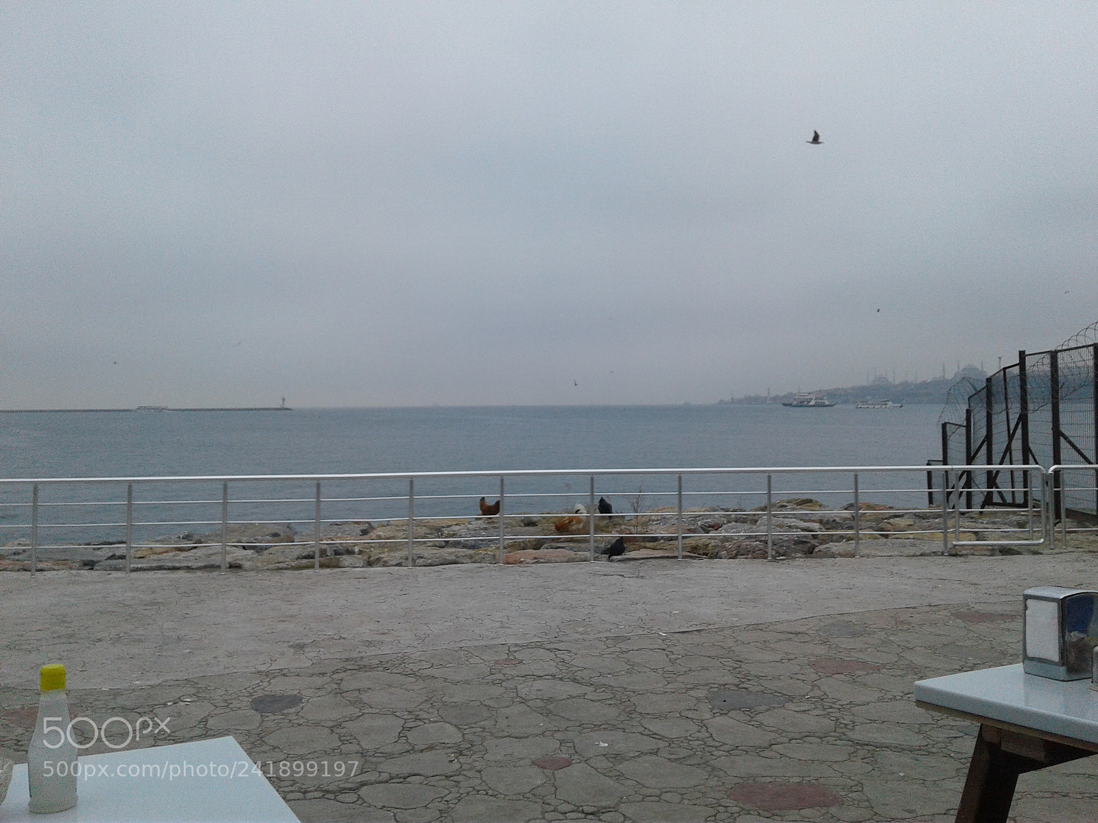 Samsung Galaxy J2 sample photo. Salacaktan sarayburnu photography