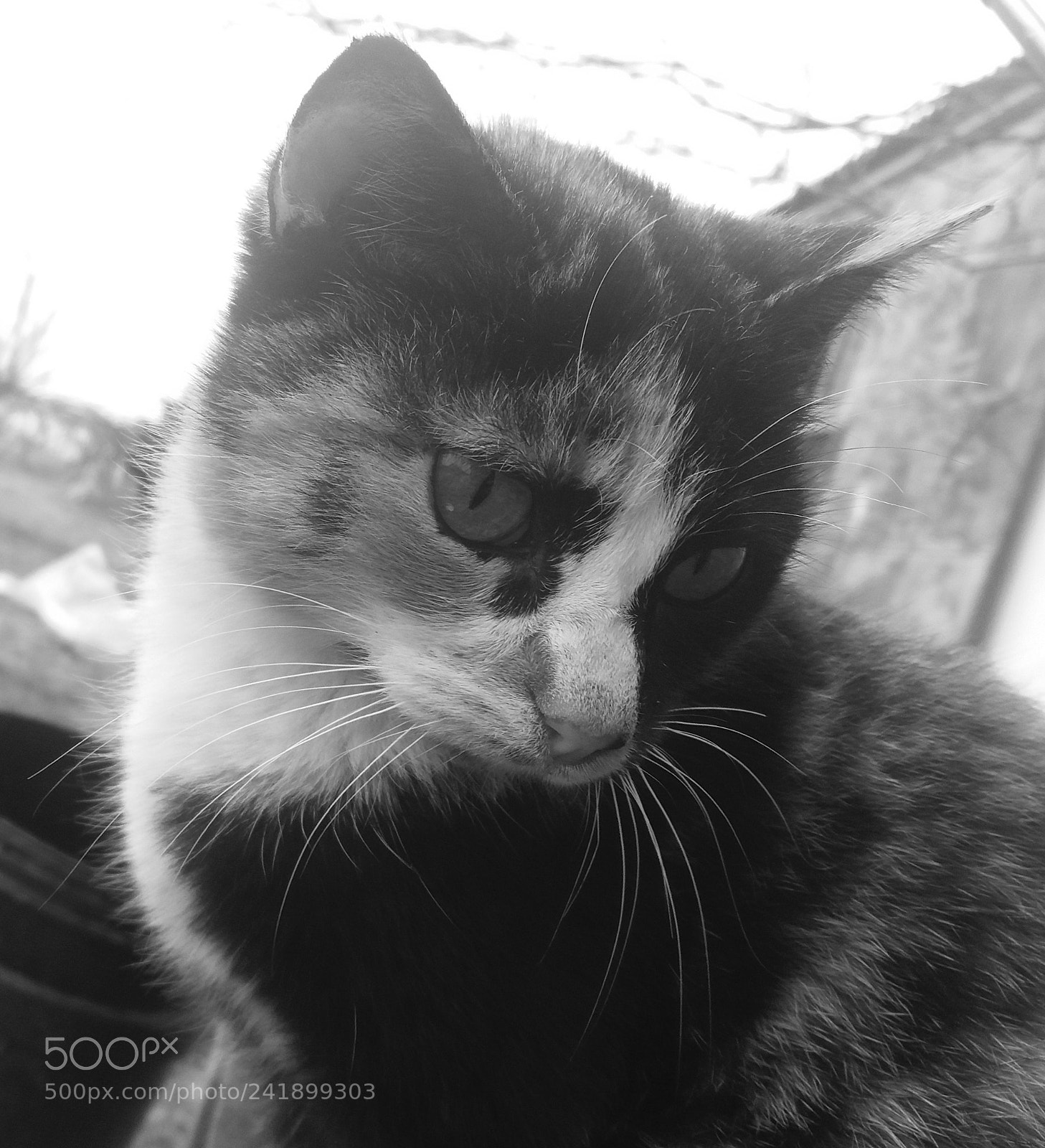 Samsung Galaxy J5(2016) sample photo. She is so serious... photography
