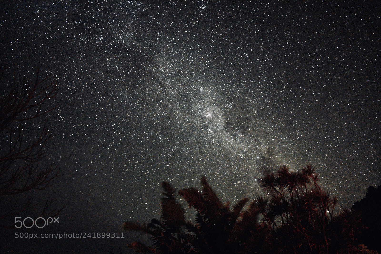 Nikon D3400 sample photo. Milky way the great photography