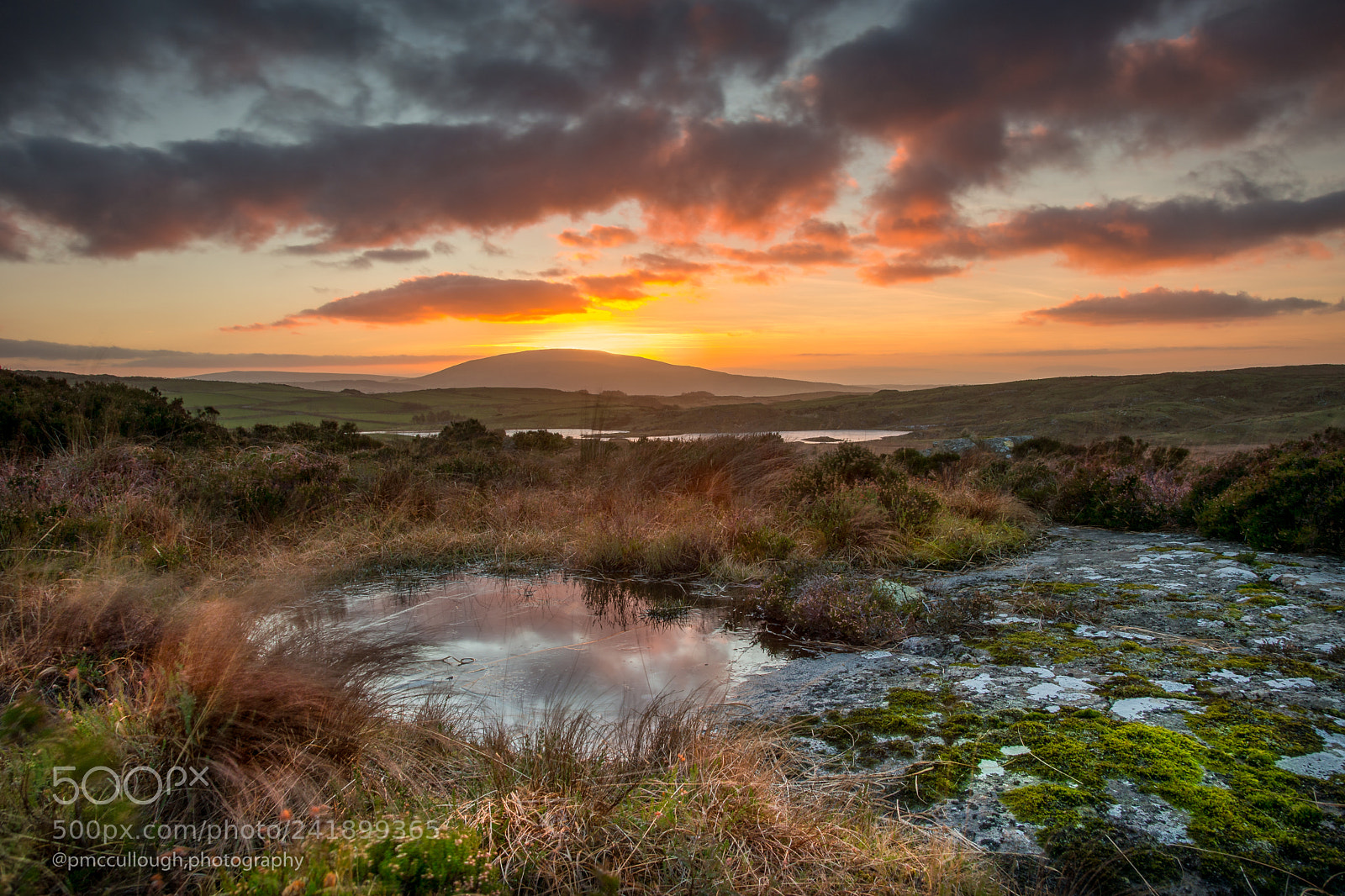 Nikon D7200 sample photo. Fair head , sunset photography