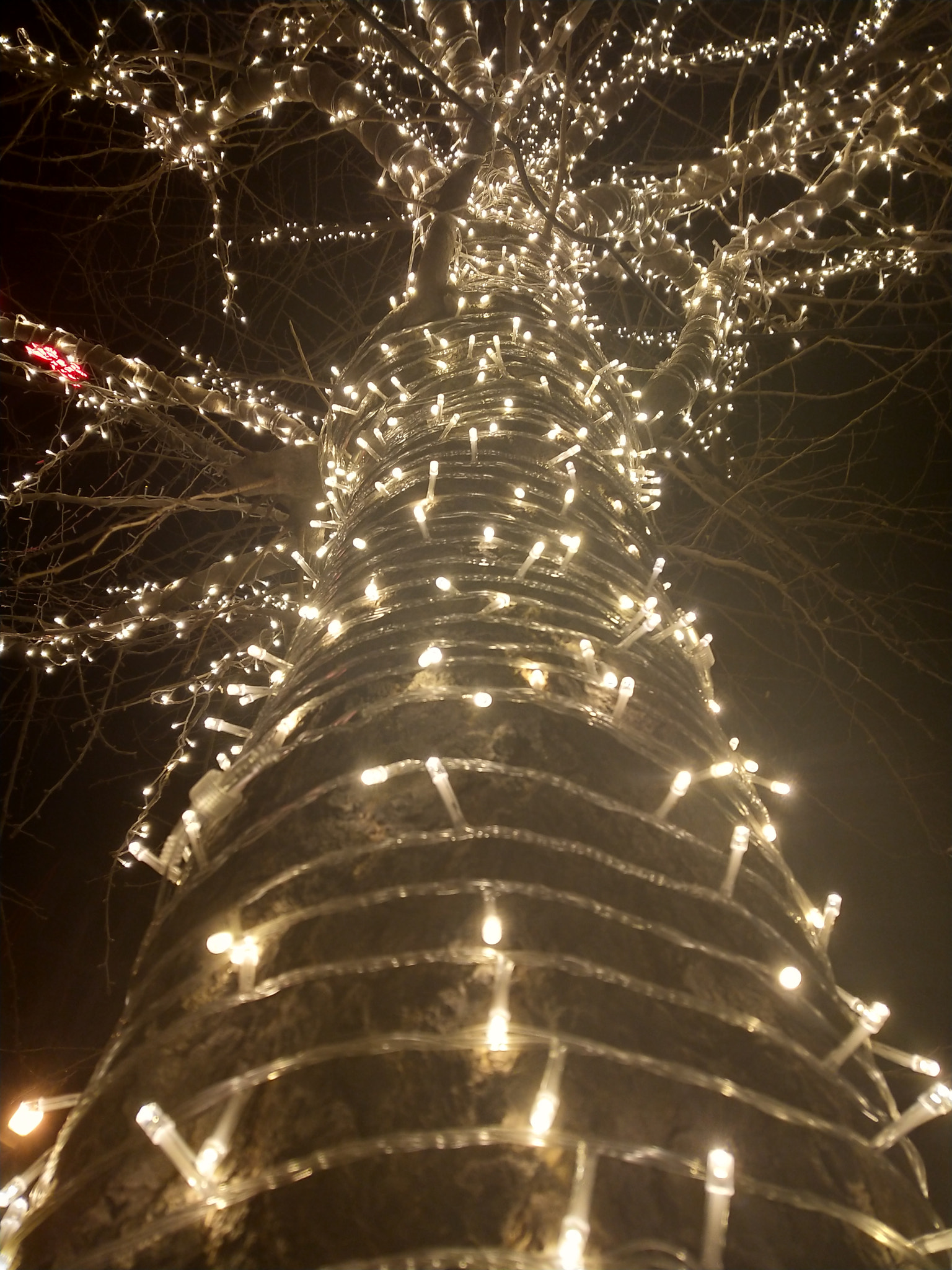 vivo X20A sample photo. Lights photography